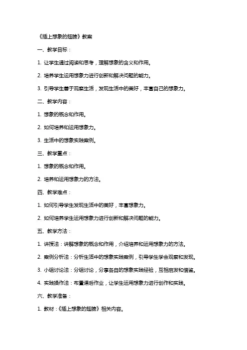 《插上想象的翅膀》教案