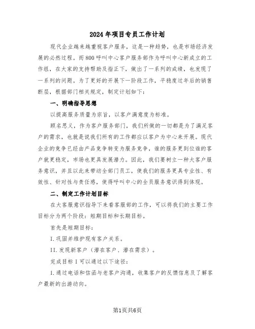 2024年项目专员工作计划（三篇）
