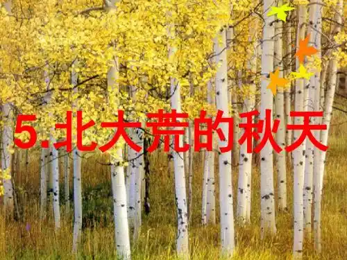 5北大荒的秋天课件