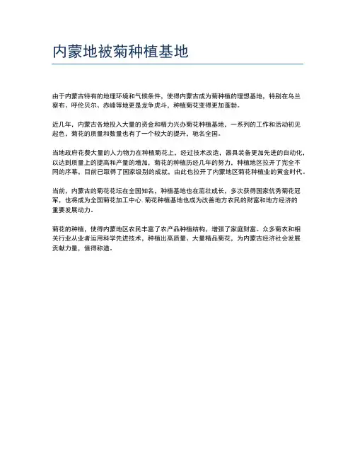 内蒙地被菊种植基地