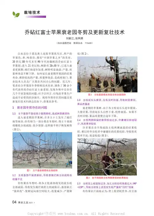 乔砧红富士苹果衰老园冬剪及更新复壮技术