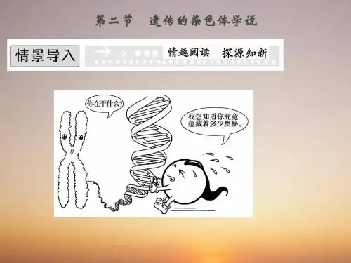 浙科版高中生物必修二遗传的染色体学说名师公开课优质课件(39张)