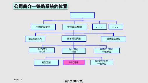 云母带基本介绍PPT课件