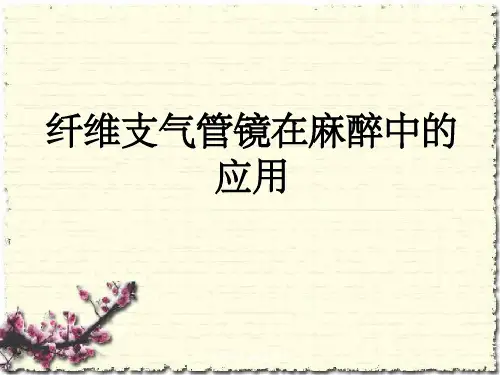 纤支镜在麻醉科应用
