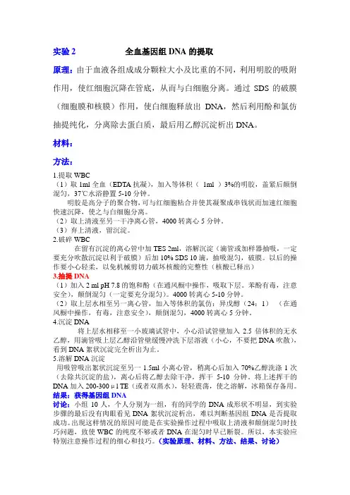 全血基因组DNA的提取