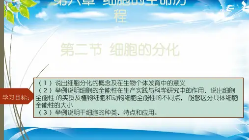 人教版生物必修一第六章第二节-细胞的分化 (共16张PPT)(最新版推荐下载)