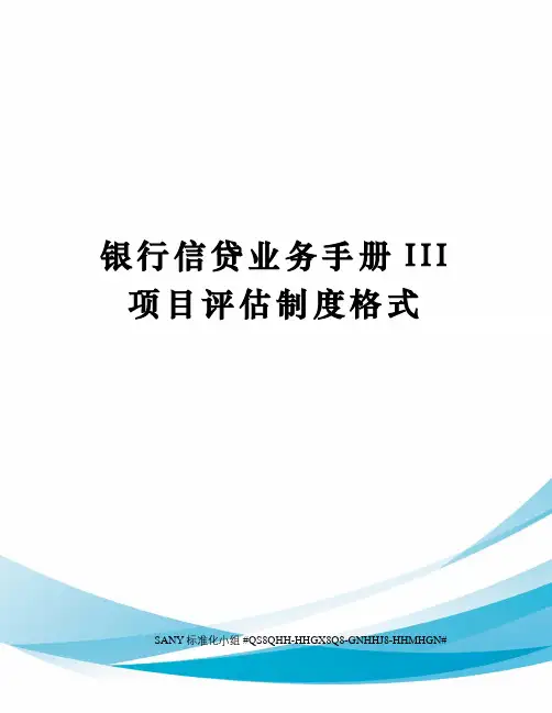 银行信贷业务手册III项目评估制度格式精修订