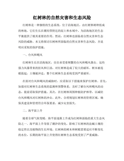 红树林的自然灾害和生态风险