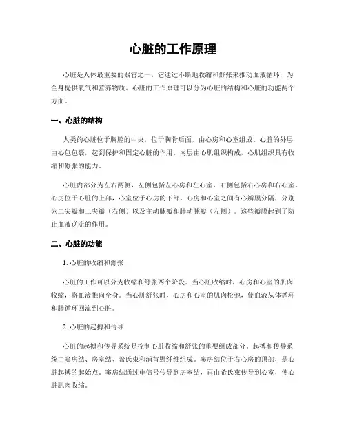心脏的工作原理