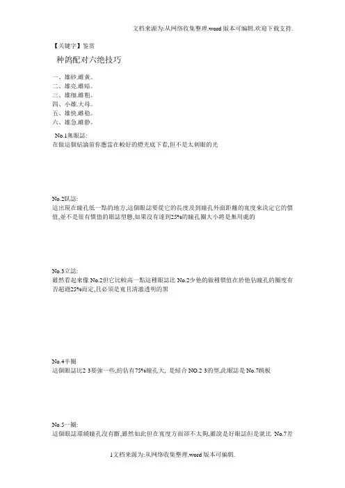 【鉴赏】名家信鸽育种及鉴赏