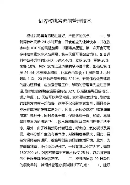饲养樱桃谷鸭的管理技术