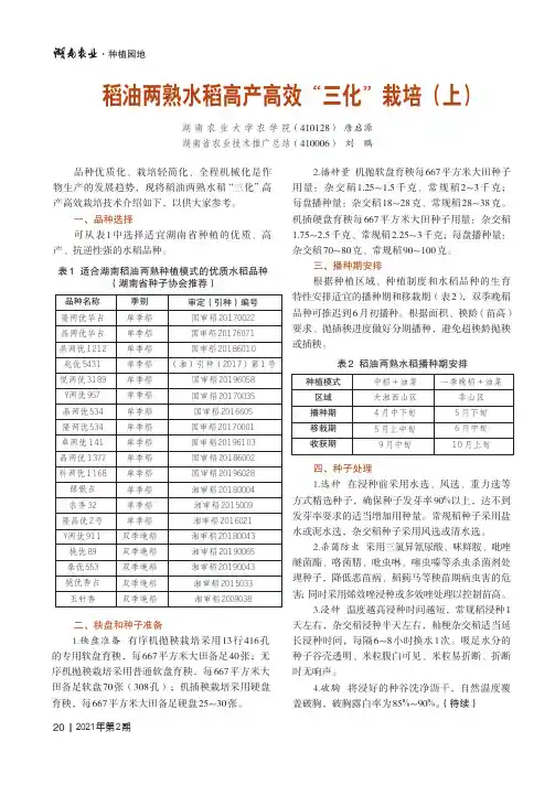 稻油两熟水稻高产高效“三化”栽培(上)