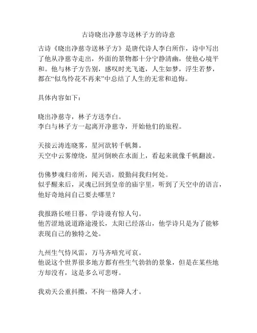 古诗晓出净慈寺送林子方的诗意