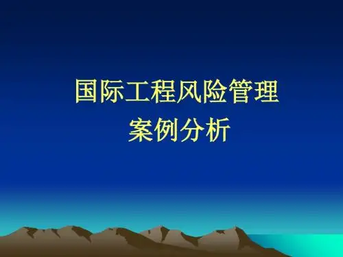 国际工程风险管理案例分析