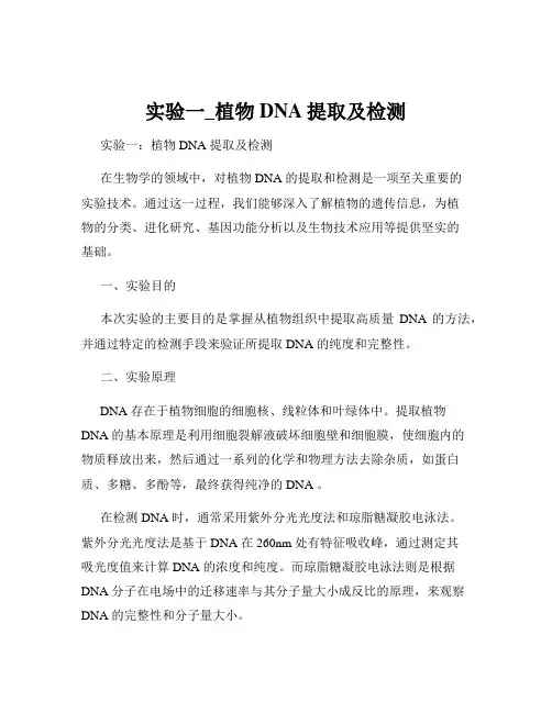 实验一_植物DNA提取及检测