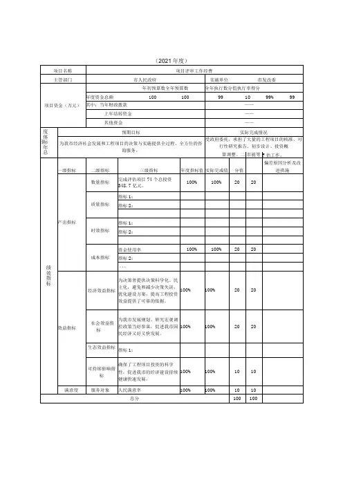 项目支出绩效自评表