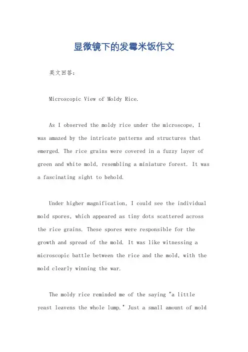 显微镜下的发霉米饭作文