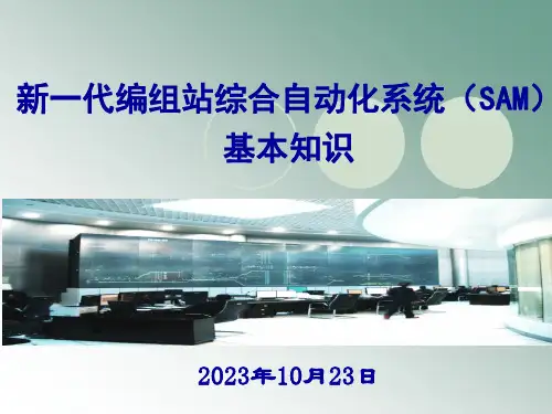 SAM系统基本知识课件