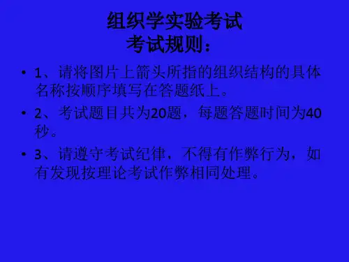 组织胚胎学期中实验考试题