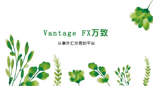 Vantage FX万致