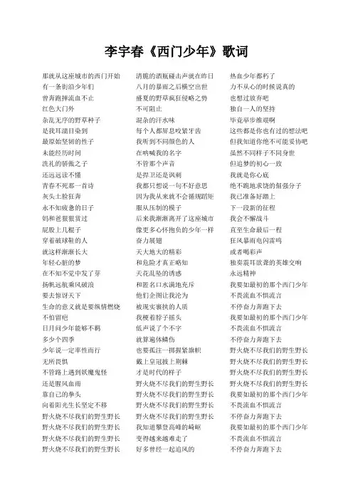 李宇春《西门少年》歌词(专辑：长)