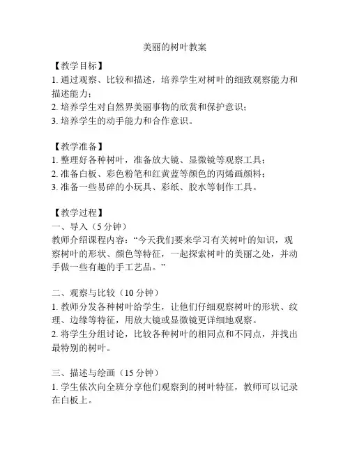 美丽的树叶教案