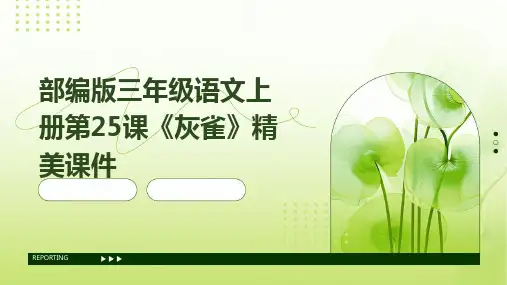 部编版三年级语文上册第25课《灰雀》精美课件