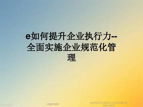 e如何提升企业执行力全面实施企业规范化管理
