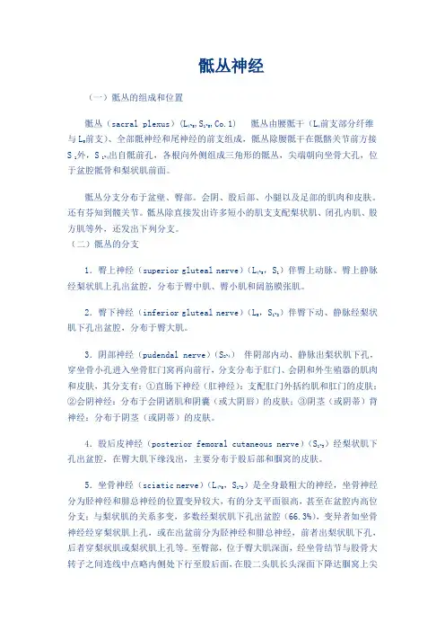 骶丛神经