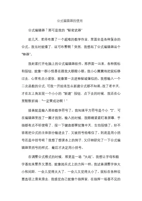 公式编辑器的使用