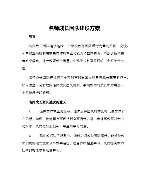 名师成长团队建设方案