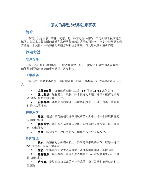山茶花的养殖方法和注意事项
