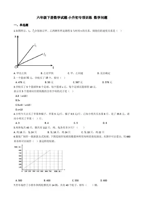 六年级下册数学试题-小升初专项训练 数学问题 人教版(含答案)