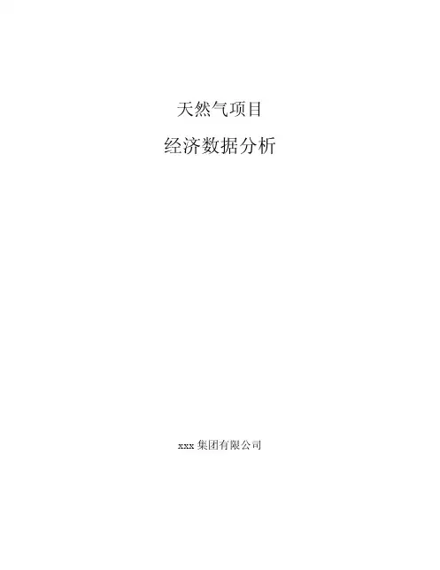 天然气项目经济数据分析