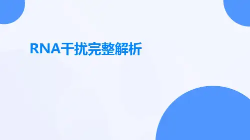 rna干扰完整解析