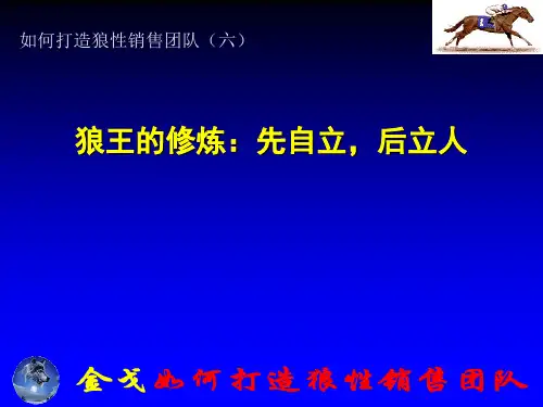 如何打造狼性销售团队(六)