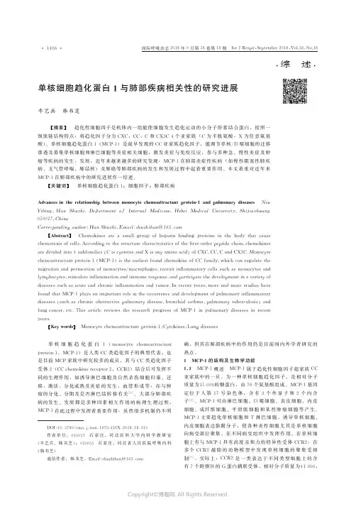 单核细胞趋化蛋白1与肺部疾病相关性的研究进展