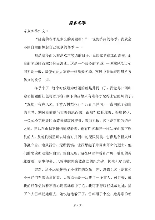 家乡冬季精品文档