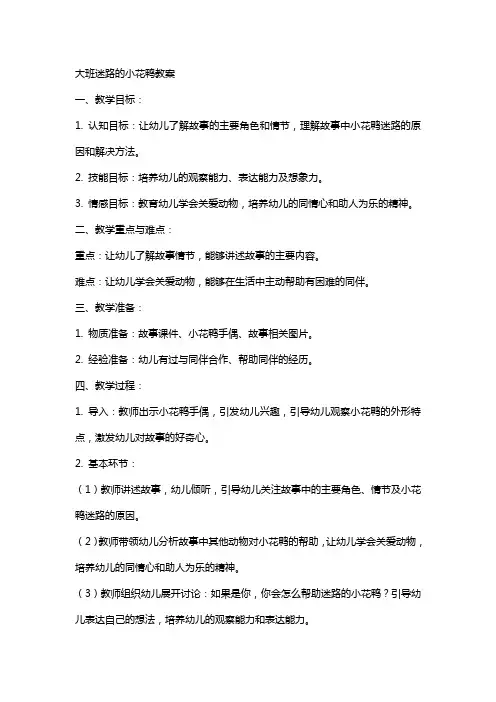 大班迷路的小花鸭教案