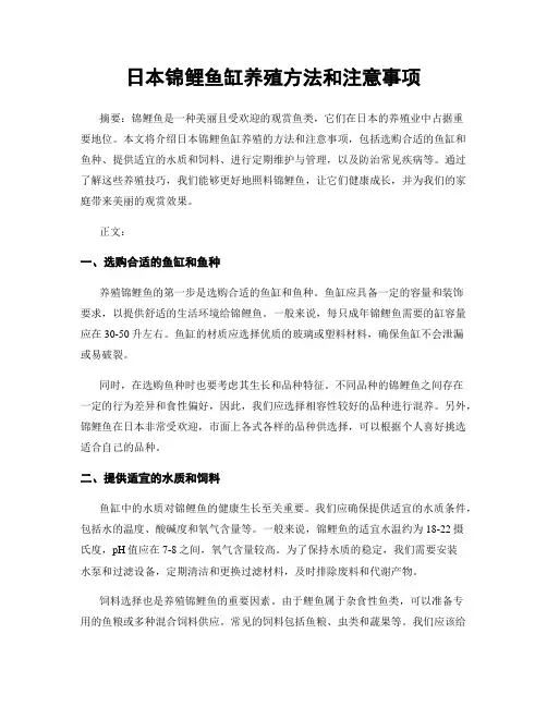 日本锦鲤鱼缸养殖方法和注意事项