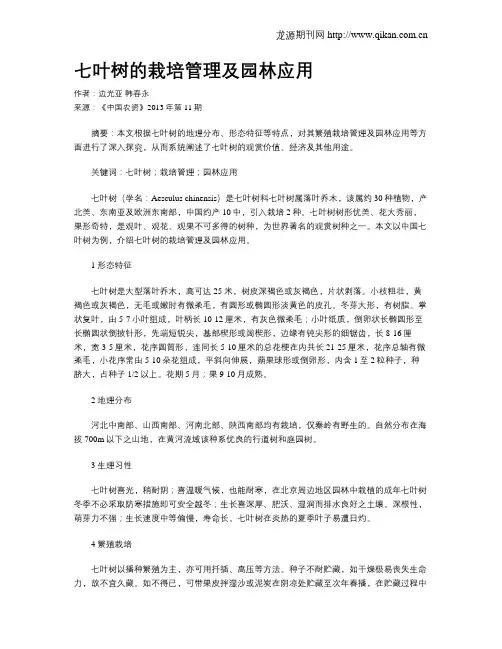 七叶树的栽培管理及园林应用