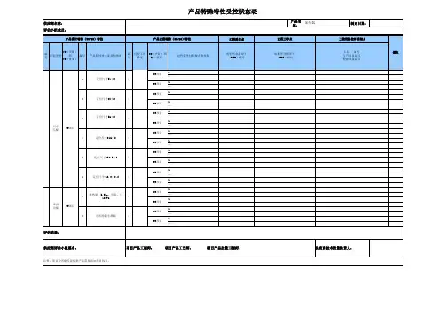 产品特殊特性受控表
