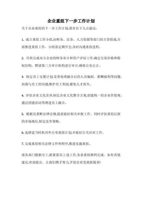 企业重组下一步工作计划