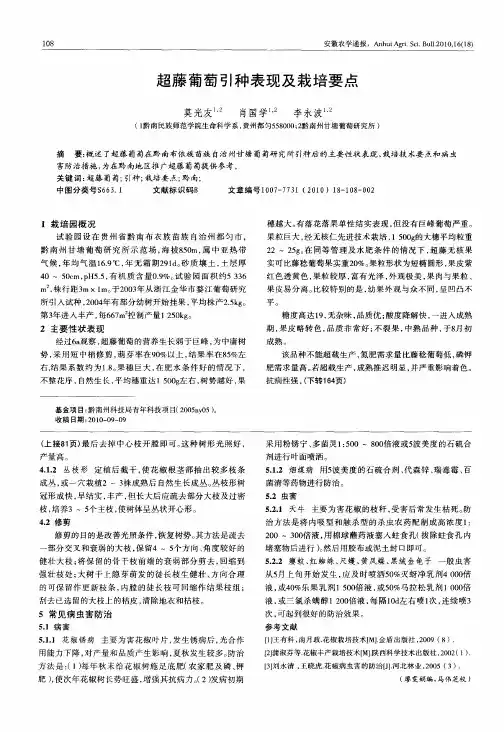 超藤葡萄引种表现及栽培要点