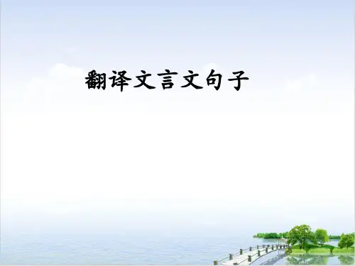 课件江苏江阴市南菁高级中学高三语文复习《文言翻译》pptPPT