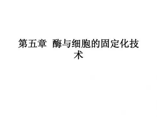 第五章  酶与细胞的固定化技术