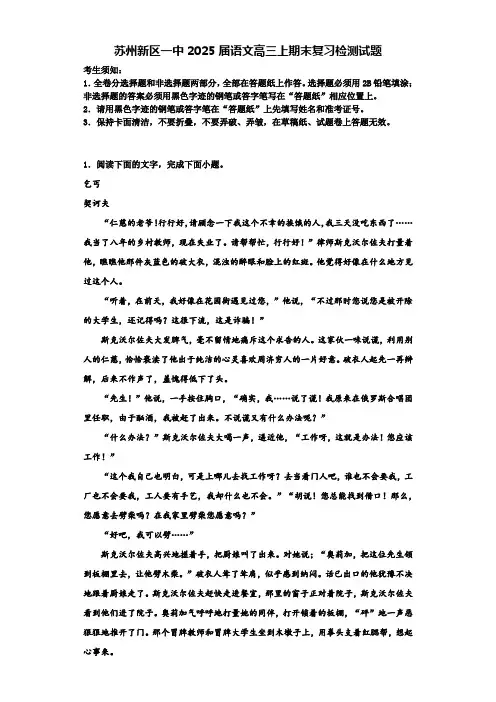 苏州新区一中2025届语文高三上期末复习检测试题含解析