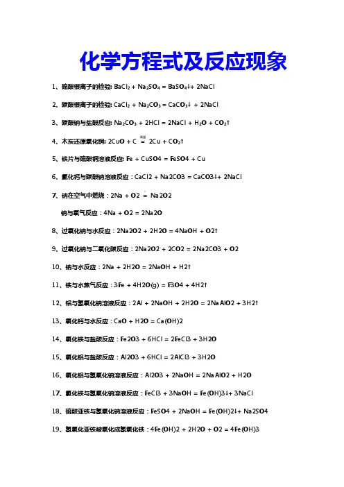 化学方程式及反应现象