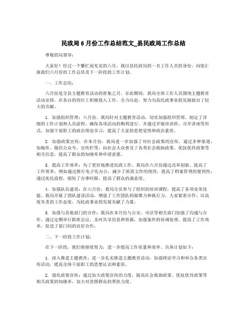 民政局6月份工作总结范文_县民政局工作总结