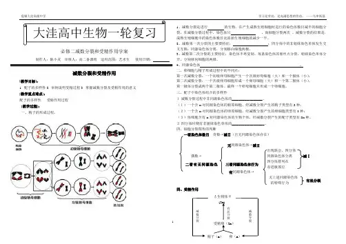 必修二减数分裂和受精作用学案